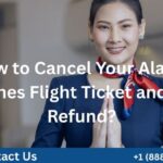 Alaska Airlines Flight